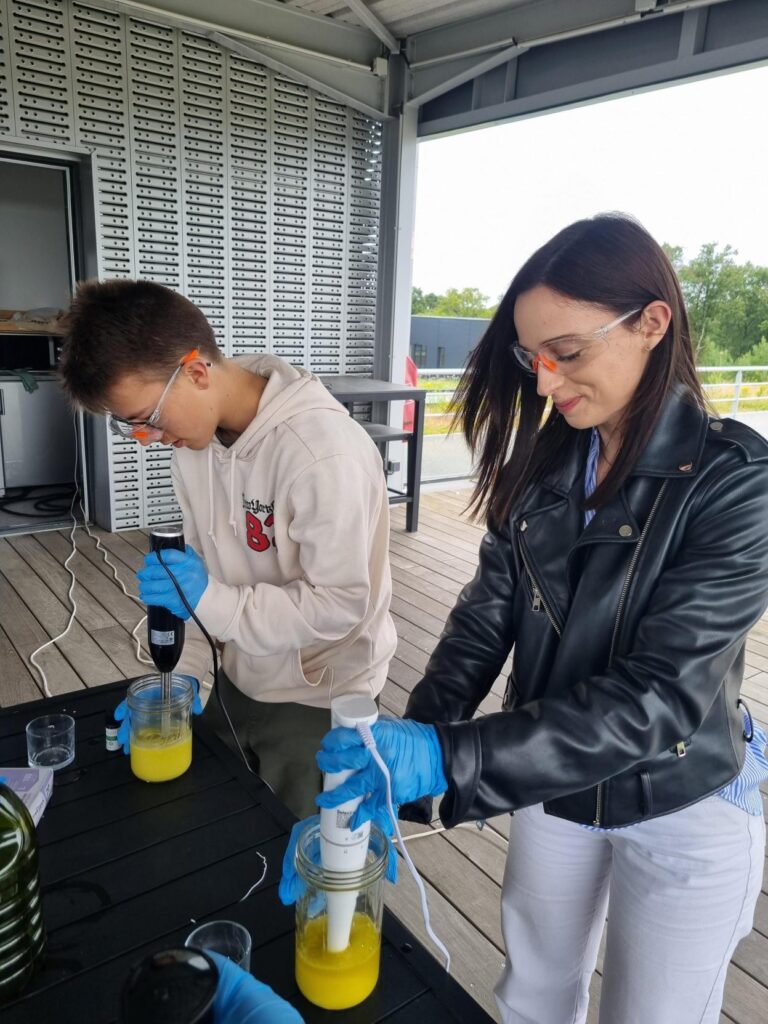 Potager urbain solidaire InfleXsys : 28 kilos récoltés en 2023 pour la Banque Alimentaire